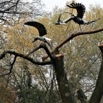 15747461_1307793595958161_4939240747057704654_n